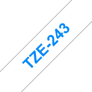 CINTA TZE243